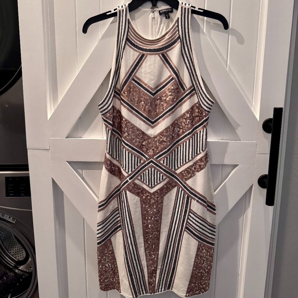 Express sequin dress